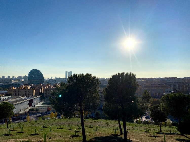 (26) Due Diligence, el arte de evitar que nos den gato por&nbsp;liebre