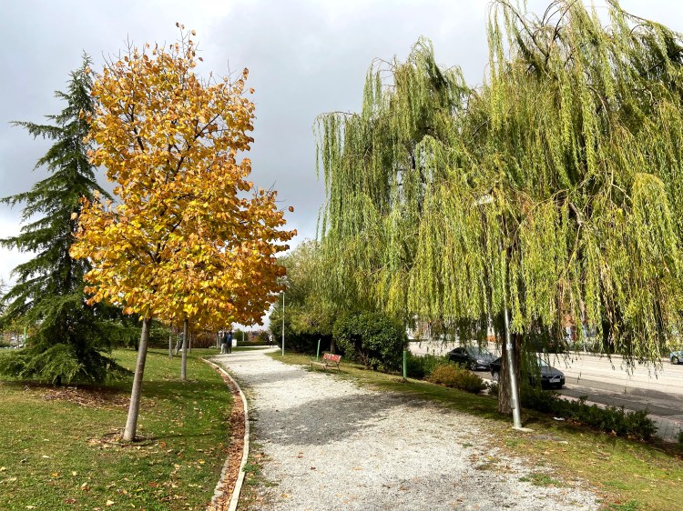 (31) Matriz de&nbsp;Ansoff