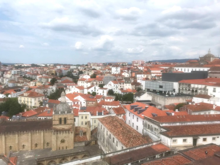 (30) Estructura societaria, ordenando el armario para sacarle más&nbsp;partido