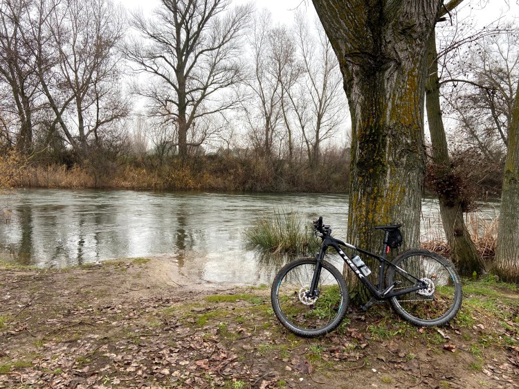 (34) Modelización financiera