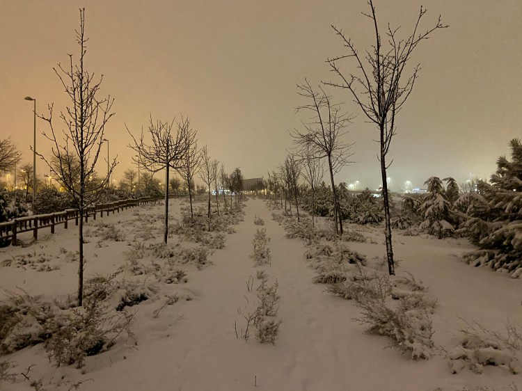 (36) Devengo y movimiento de&nbsp;caja