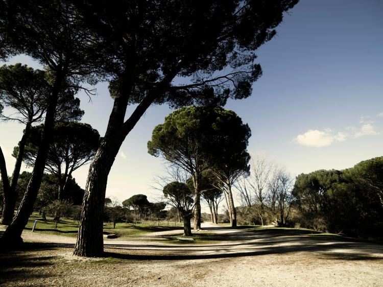 (56) Gestión del&nbsp;cliente