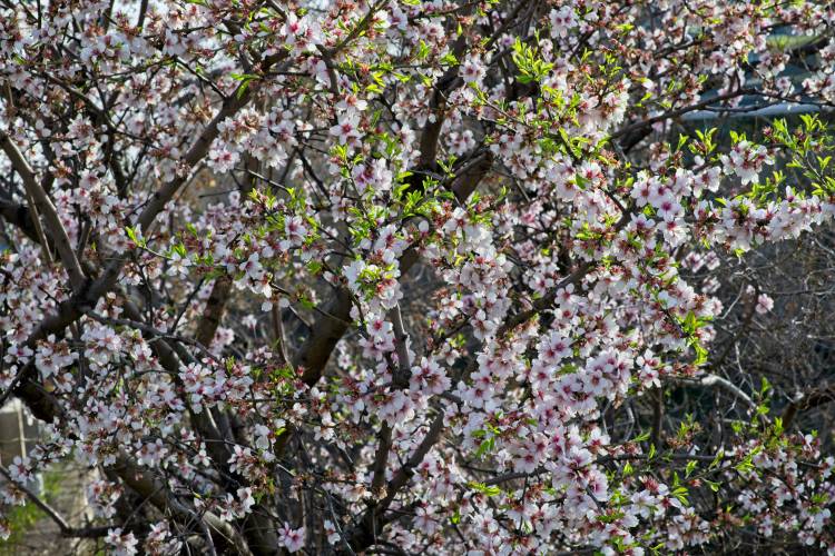 (52) Estructura organizativa en la&nbsp;empresa