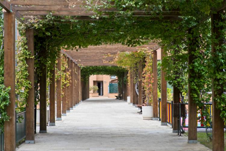 (60) Plan de&nbsp;negocio